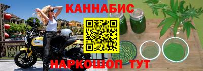 крисы Будённовск