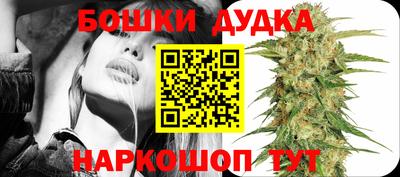 крисы Будённовск