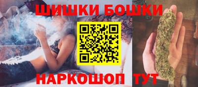 крисы Будённовск