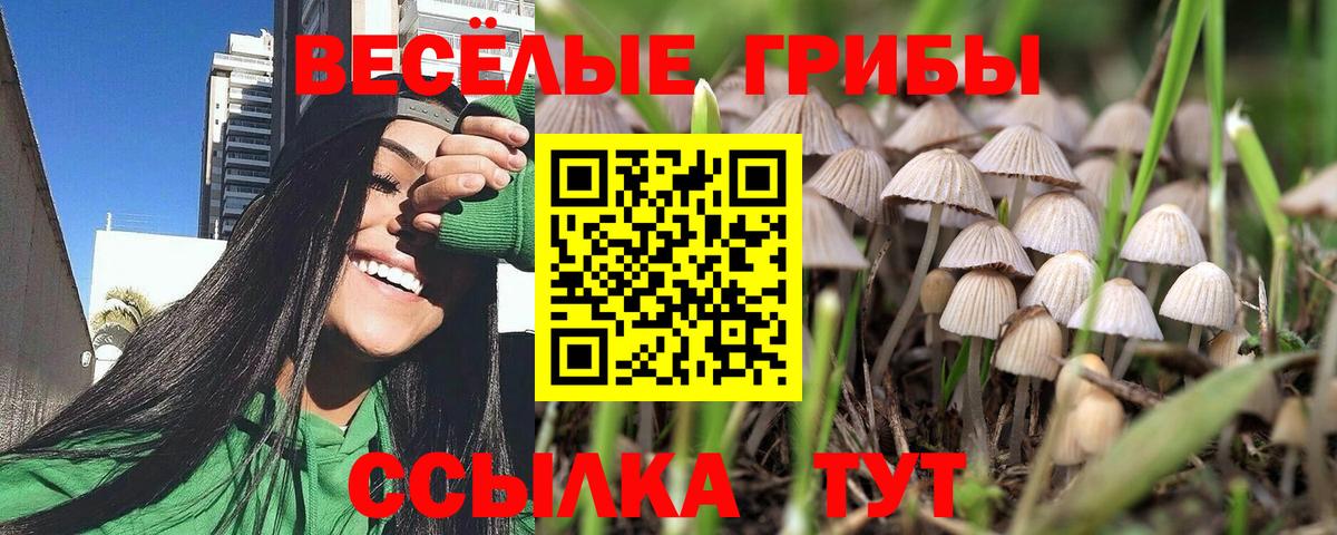 Галлюциногенные грибы прущие грибы Радужный